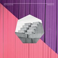 We Never - Acollective
